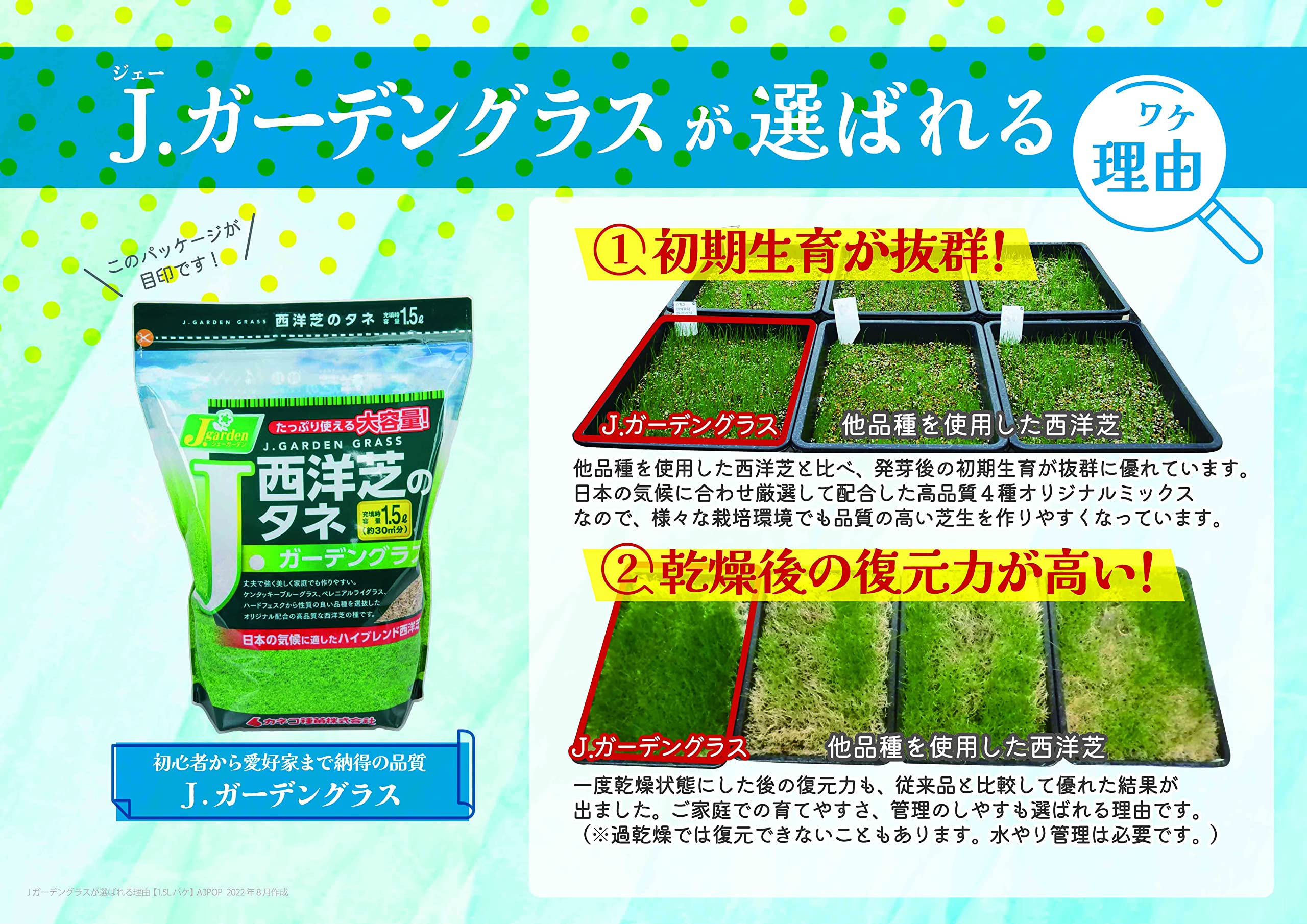 Amazon | 西洋芝のタネ J・ガーデングラス 800ml 約4.5坪 カネコ種苗